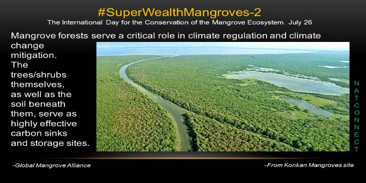 NatConnect Foundation